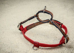 coast-line-2 - Rope & Leather Harness - Harness