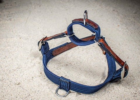 Rope & Leather Harness
